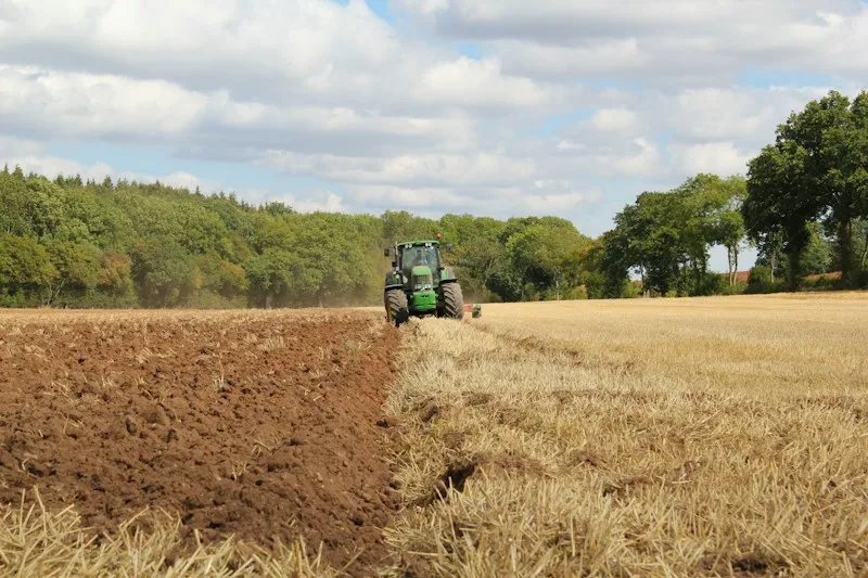 Tractor working the field